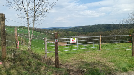 Clôture électrique pour chevaux de 2023 à 2823 Pitten Autriche de Zaunteam Schneebergland.