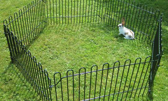 Der Kleintiersteckzaun ist überall schnell und einfach aufgestellt. Dieses Zaunmodell ist ideal um Welpen, Kleinhunden, Hasen und weiteren Kleintieren sicher Auslauf zu gewähren. | © zaunteam