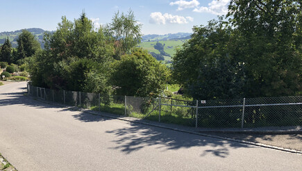 Grillage diagonal de 2018 à 9063 Stein AR Suisse de Zaunteam Appenzellerland.