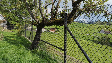 Grillage diagonal de 2020 à 9050 Appenzell Schlatt Suisse de Zaunteam Appenzellerland.