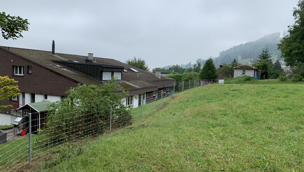 Treillis noué de 2019 à 9034 Eggersriet Suisse de Zaunteam Appenzellerland.