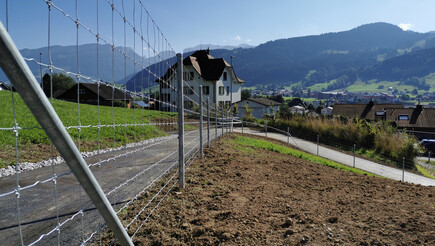 Knotengitter aus dem 2019 in 9050 Appenzell Schweiz von Zaunteam Appenzellerland.