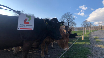 Elektrozaun für Nutztiere aus dem 2019 in 9000 St. Gallen Schweiz von Zaunteam Appenzellerland.