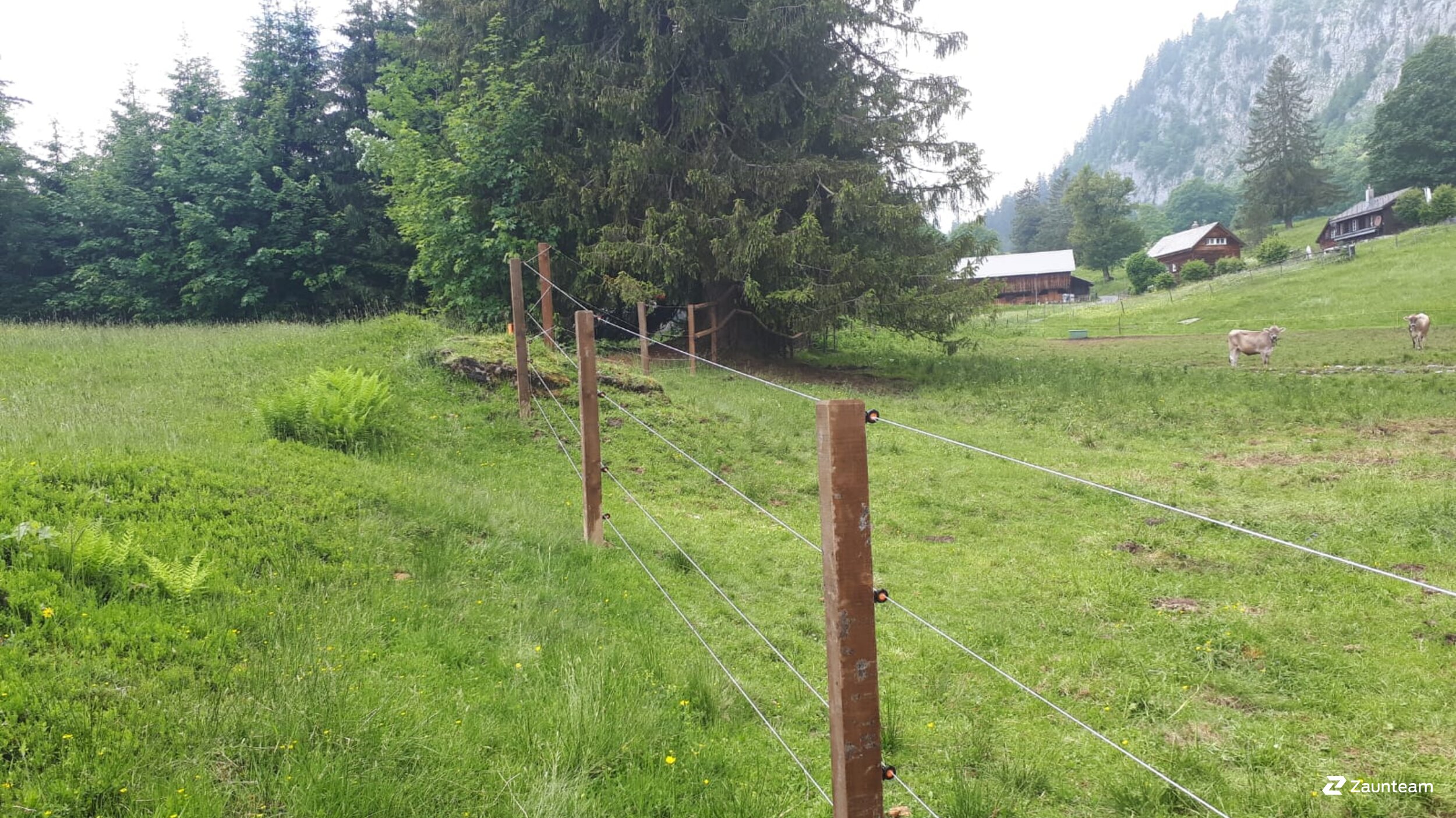 Clôture électrique pour animaux de 2018 à 8881 Walenstadtberg Suisse de Zaunteam Heidiland.