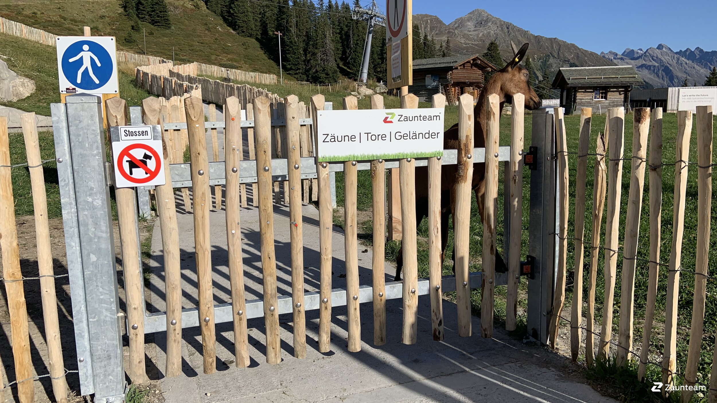 Portails et portillons de jardin de 2019 à 7252 Klosters Dorf Suisse de Zaunteam Heidiland.