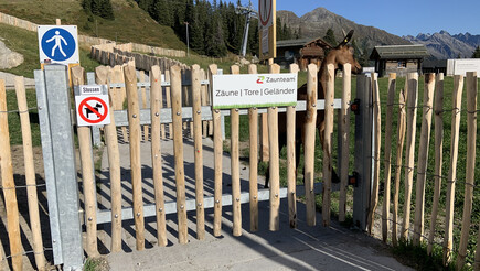 Portails et portillons de jardin de 2019 à 7252 Klosters Dorf Suisse de Zaunteam Heidiland.