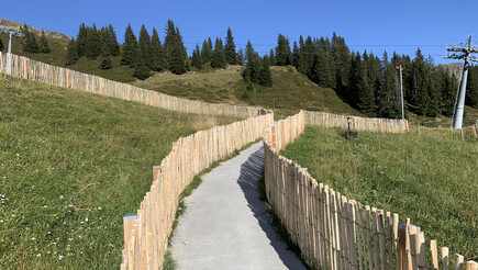 Clôture naturelle de 2019 à 7252 Klosters Dorf Suisse de Zaunteam Heidiland.