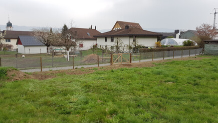 Grillage diagonal de 2019 à 5522 Tägerig Suisse de Zaunteam Aargau AG.
