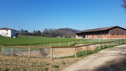 Clôture en lattes demi-rondes de 2019 à 5243 Mülligen Suisse de Zaunteam Aargau AG.