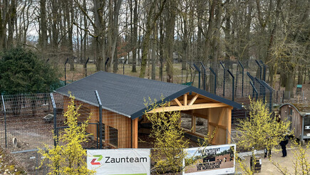 Luchszaun aus dem 2024 in 95028 Hof Deutschland von Zaunteam Bayrisches-Vogtland.