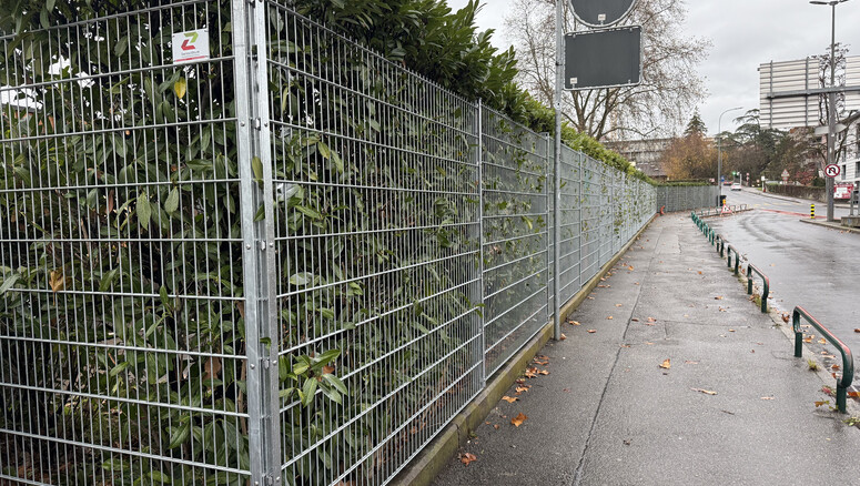 Doppelstabmattenzaun aus dem 2025 in 1225 Chêne-Bourg Schweiz von Swissclôture Genève.