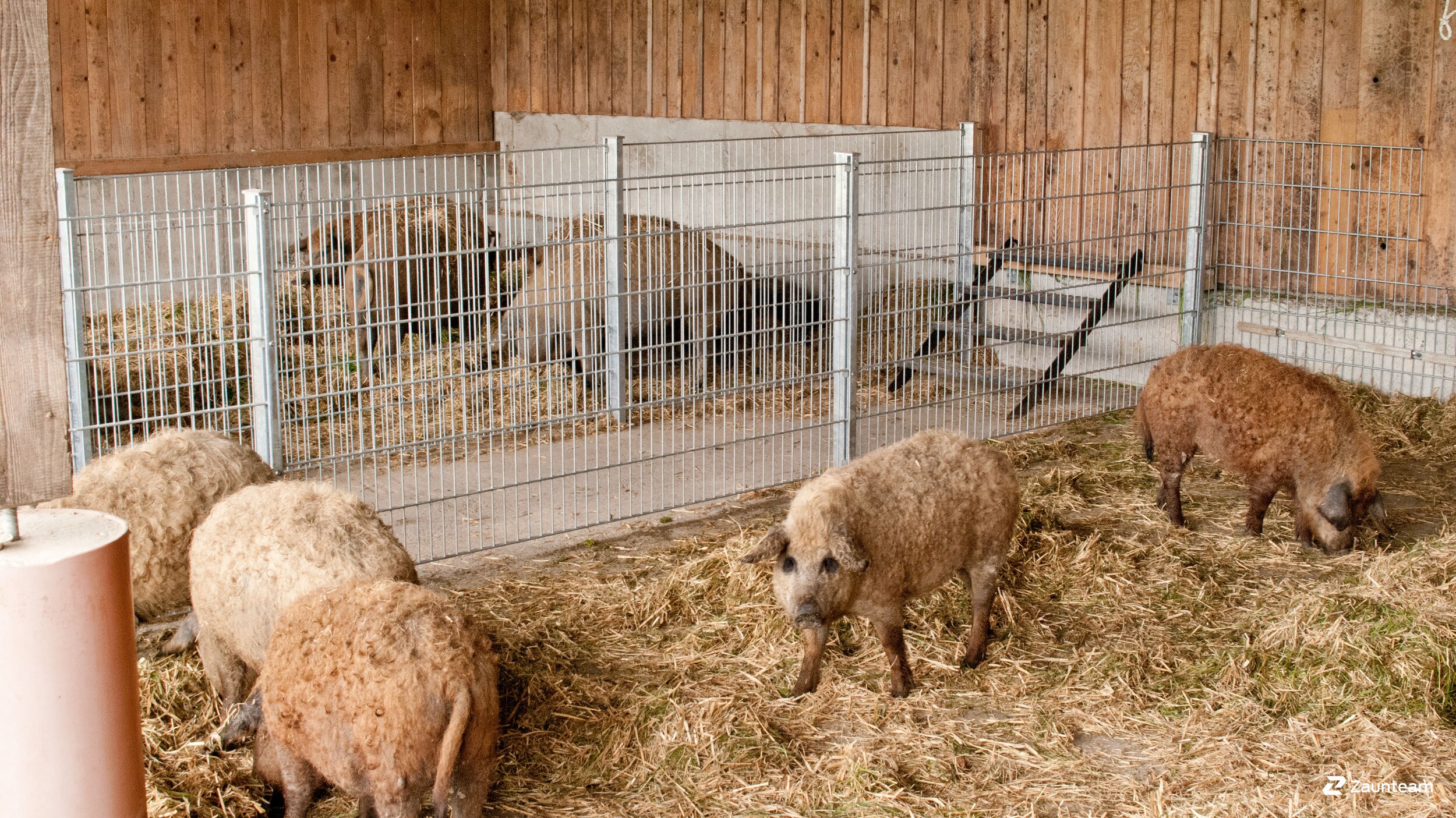 Clôture pour petites bêtes de 2016 à 79771 Klettgau Allemagne de Zaunteam Granacher.