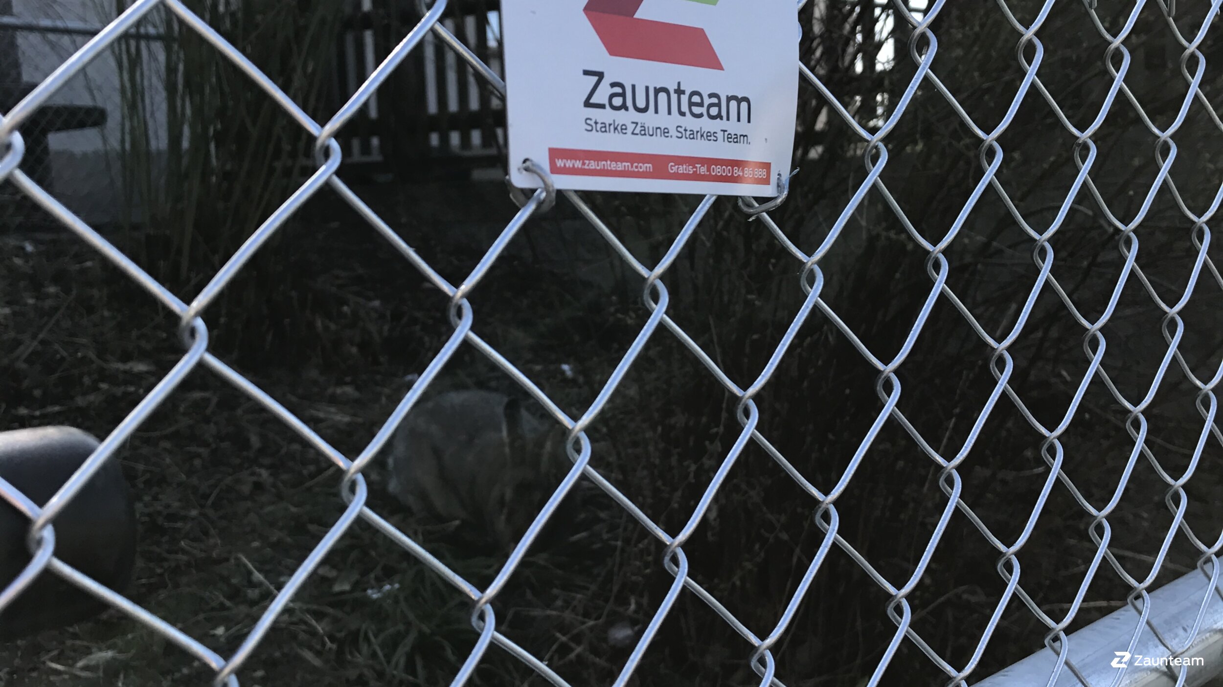 Grillage diagonal de 2017 à 3671 Brenzikofen Suisse de Zaunteam Kiesen AG.