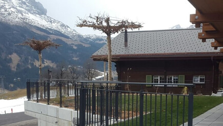 Garde-corps et main-courantes de 2016 à 3818 Grindelwald Suisse de Zaunteam Berner Oberland.